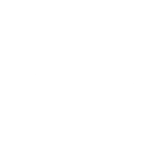 ResinViet